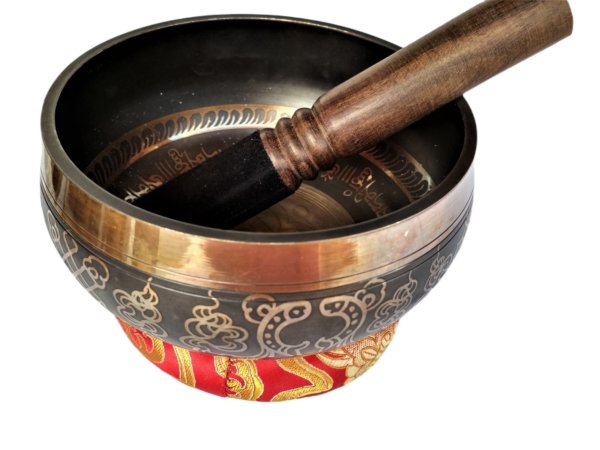 Special Engraved Antique Tibetan Singing Bowl M1 for Sound Therapy